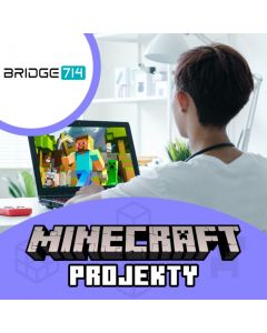 Projekty v Minecraftu – kroužek pro děti v BRIDGE 714 v Mostě