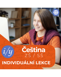 Online doučování z češtiny – Individuální lekce