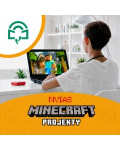 Projekty v Minecraftu - 1. ZŠ Plzeň