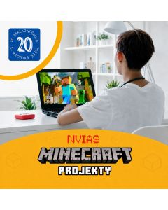 Projekty v Minecraftu - 20. ZŠ Plzeň