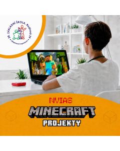 Projekty v Minecraftu - 28. ZŠ Plzeň
