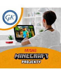 Projekty v Minecraftu – kroužek pro děti na Gymnáziu Františka Křižíka a ZŠ v Plzni