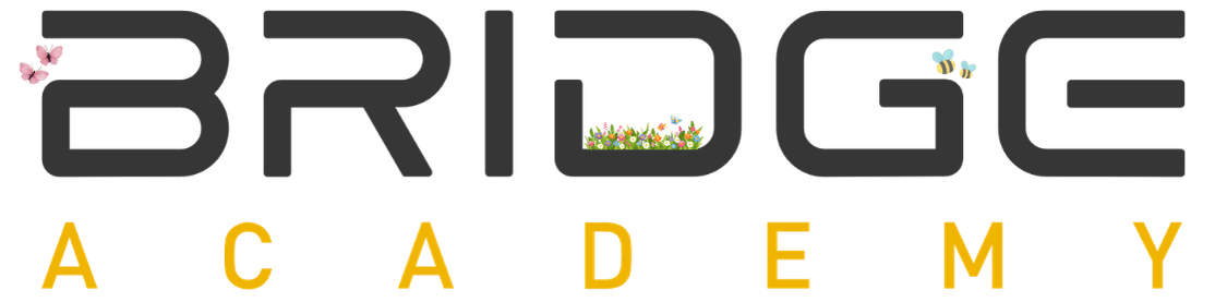 Celoživotní vzdělávání na dosah s Bridge Academy