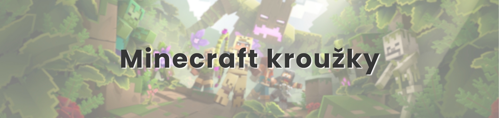 Výuka programování pro děti v Minecraftu – Bridge Academy